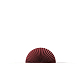 photo-2936004