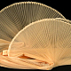 photo-2984858