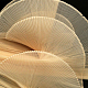 photo-2984855