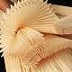 photo-2984857